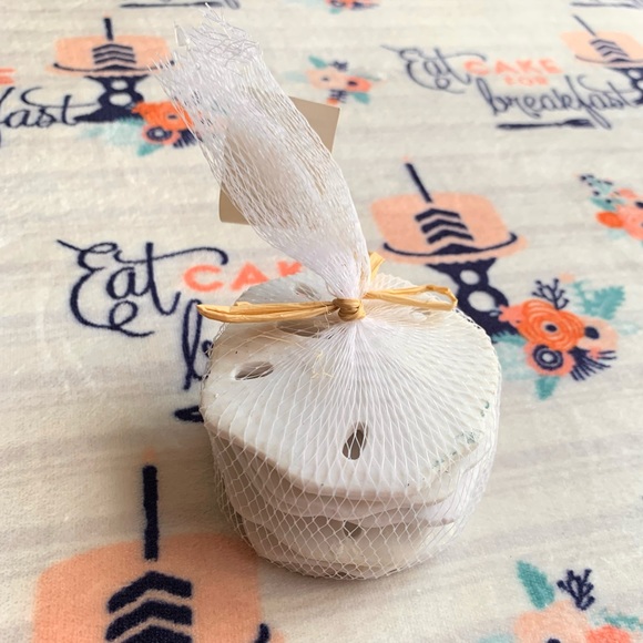 Other - 🐚 Nautical Beach Sand Dollar Home Accent 🐚